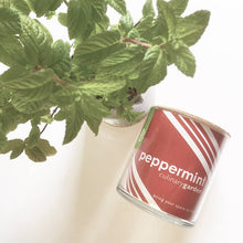 Load image into Gallery viewer, Christmas Peppermint
