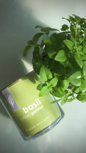 Load image into Gallery viewer, Beautiful Basil
